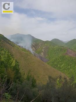 Brucia una montagna in località Cese: le fiamme si propagano rapidamente [FOTO]