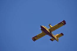 Roghi illegali: l'allerta è altissima e i controlli arriveranno dal cielo