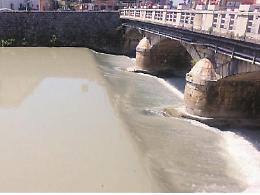 Liquami e pesci morti nel fiume Liri, i cittadini vogliono la verità