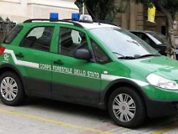Caccia agli scarichi sospetti: controlli a tappeto in dodici aziende
