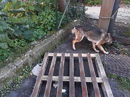 Il casolare della droga: dentro coca ed erba. Ma anche i "pizzini" dei clienti