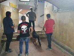Immigrati spacciatori fermati dal fiuto del cane Enduro: la polizia non molla