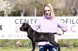 Sora, nel centro cinofilo dei Volsci arrivano le handler russe Elena e Dasha