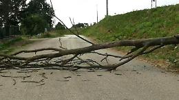 Anagni, albero si abbatte sulla strada che collega all'Anticolana