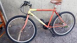 Ruba una bicicletta in pieno centro: senegalese richiedente asilo nei guai