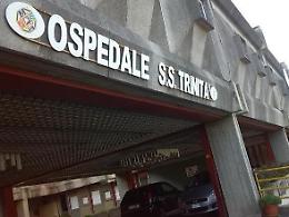 Donna punta da un calabrone finisce in ospedale: allarme in città