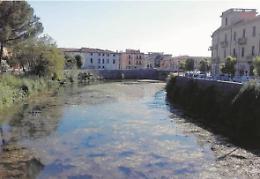 Sversamento sospetto e moria di pesci: Liri agonizzante