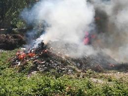 Cassino, bombe ecologiche e roghi illegali: l'ambiente "sorvegliato speciale"