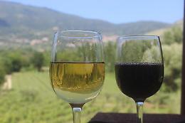 “Notte bianca”, cresce l'attesa per il secondo appuntamento con il vino Cesanese