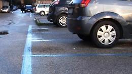Automobilisti distratti, scattano le multe: Naretti chiede più tolleranza