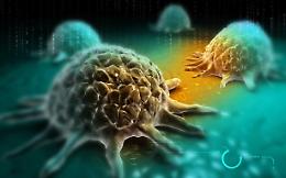 Aumento neoplasie e siti inquinati: si spinge per il Registro dei Tumori