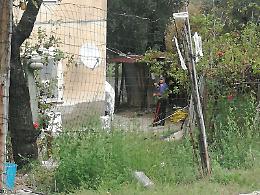 Omicidio Teoli: il Ris nella casa dell'orrore a caccia di tracce di sangue