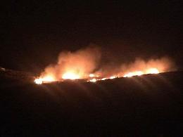 Quattro roghi nella stessa zona, il sindaco non ha dubbi: "incendi dolosi"