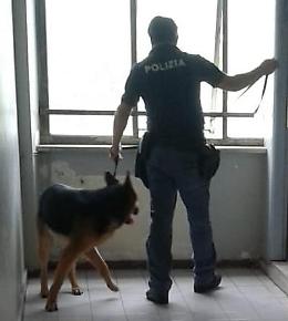 Scuole sicure, polizia in azione: trovato hashish in un istituto scolastico