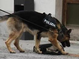 Droga pronta allo spaccio nascosta nei bagni di una scuola, scatta il sequestro