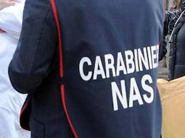 Chiuso negozio ortofrutticolo gestito da egiziani: ecco come tenevano la merce