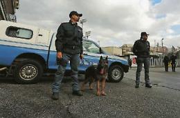 Con i cani antidroga tra i banchi: scuole e studenti sotto controllo
