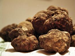 Fiera del tartufo: un weekend dedicato al bianco e al nero pregiato