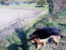 Spacciavano droga ai minorenni: arresti convalidati per i due pusher gambiani