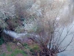 Scarichi illeciti nel fiume Sacco: nuovo sversamento sospetto