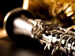 Alatri, gemellaggio per Santa Cecilia: un concerto per la patrona