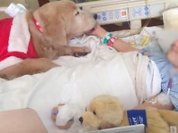 Pet-therapy allo "Spaziani": ora si può. Ma l'ultima parola spetta alla Asl