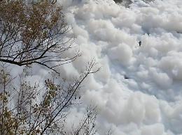 Disastro nella Valle del Sacco: la bonifica non parte e i veleni restano lì