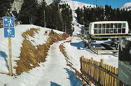 Incidente sulle piste: con la slitta contro un albero, grave un giovane
