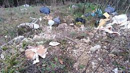 Rifiuti e scarichi illegali attorno a Fontana Canale: il degrado è servito
