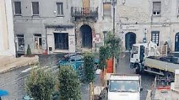 Ferentino, piazza Matteotti diventa antismog: l'iniziativa