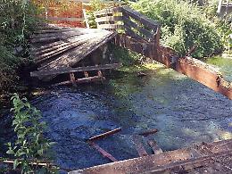 Parco Gari da 'horror': il luogo prescelto da tossicodipendenti e clochard