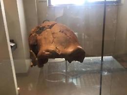 Sulle tracce dell'uomo preistorico nel Lazio meridionale con Italo Biddittu