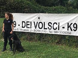 La scuola di addestramento per “angeli” a quattro zampe