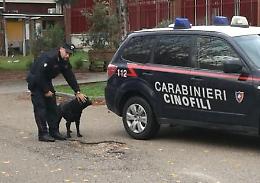 Fiuggi, droga a scuola: trovato hashish addosso ad uno studente e nei bagni