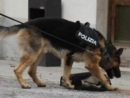 Droga nelle scuole: hashish occultato in un'aula e sotto un banco