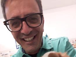 Udito, vista, olfatto: gli affascinanti e incredibili sensi dei cani