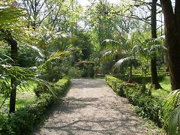Area a rischio recuperata: l'orto botanico diventa realtà