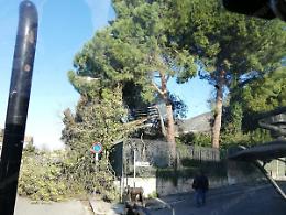 Valle dei Santi flagellata dal vento: alberi caduti sulle strade e tanti disagi