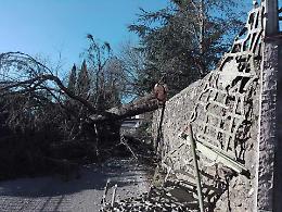 Aquino: alberi in strada e massima allerta, chiuso il cimitero comunale