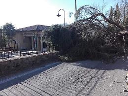 Paliano: tetti scoperchiati, alberi in strada e due principi d'incendio