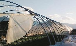 I danni del vento: duro colpo per gli agricoltori, settore in ginocchio