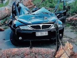 Albero si abbatte su auto, donna scampata al vento killer: il grazie di Claudia