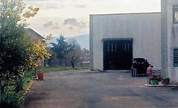 Cade dal tetto e muore sul colpo: inutili i soccorsi per un 75enne