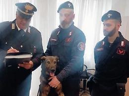 Droga per i minorenni: immigrati, cocaina e “appalti”. Pusher-ragazzini ovunque