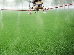 Droni e agricoltura: il settore diventa all'avanguardia