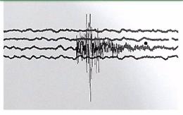 Terremoto, tutti in allerta: la popolazione si prepara ad ogni calamità