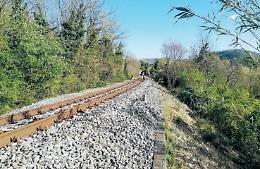 Cercatori di asparagi lungo i binari: in troppi rischiano