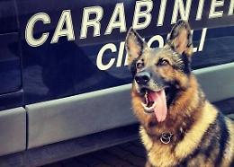 In classe con la droga: la scuola diventa una piazza di spaccio