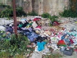 Resti di pecore a pezzi tra i cumuli di rifiuti: indignazione tra i residenti