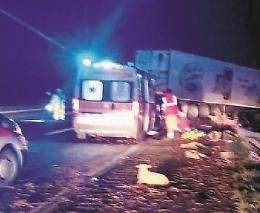 Autocarro finisce contro il guard rail e si ribalta: è strage di... agnelli